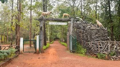 Mhadei Wildlife Sanctuary