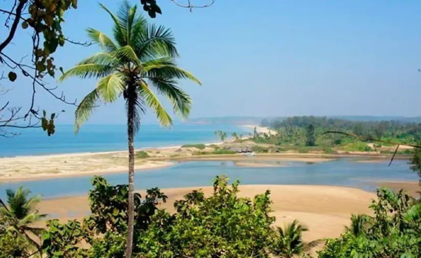 Morjim Beach