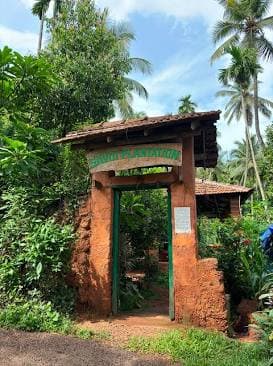Savoi Spice Plantation
